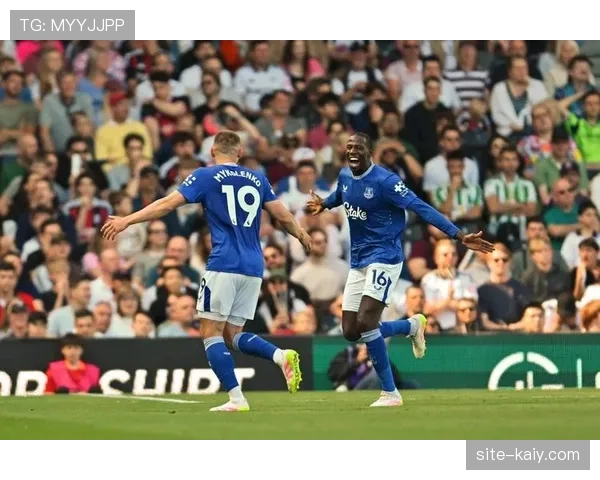 埃弗顿发布伤病报告,主力左后卫米科连科因脚踝扭伤将缺席至少两周 埃弗顿发布伤病报告,主力左后卫米科连科因脚踝扭伤将缺席至少两周